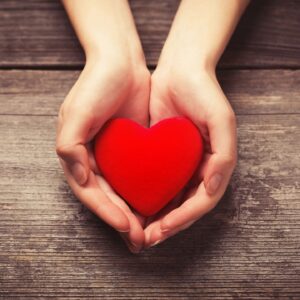 Folded hands holding a heart