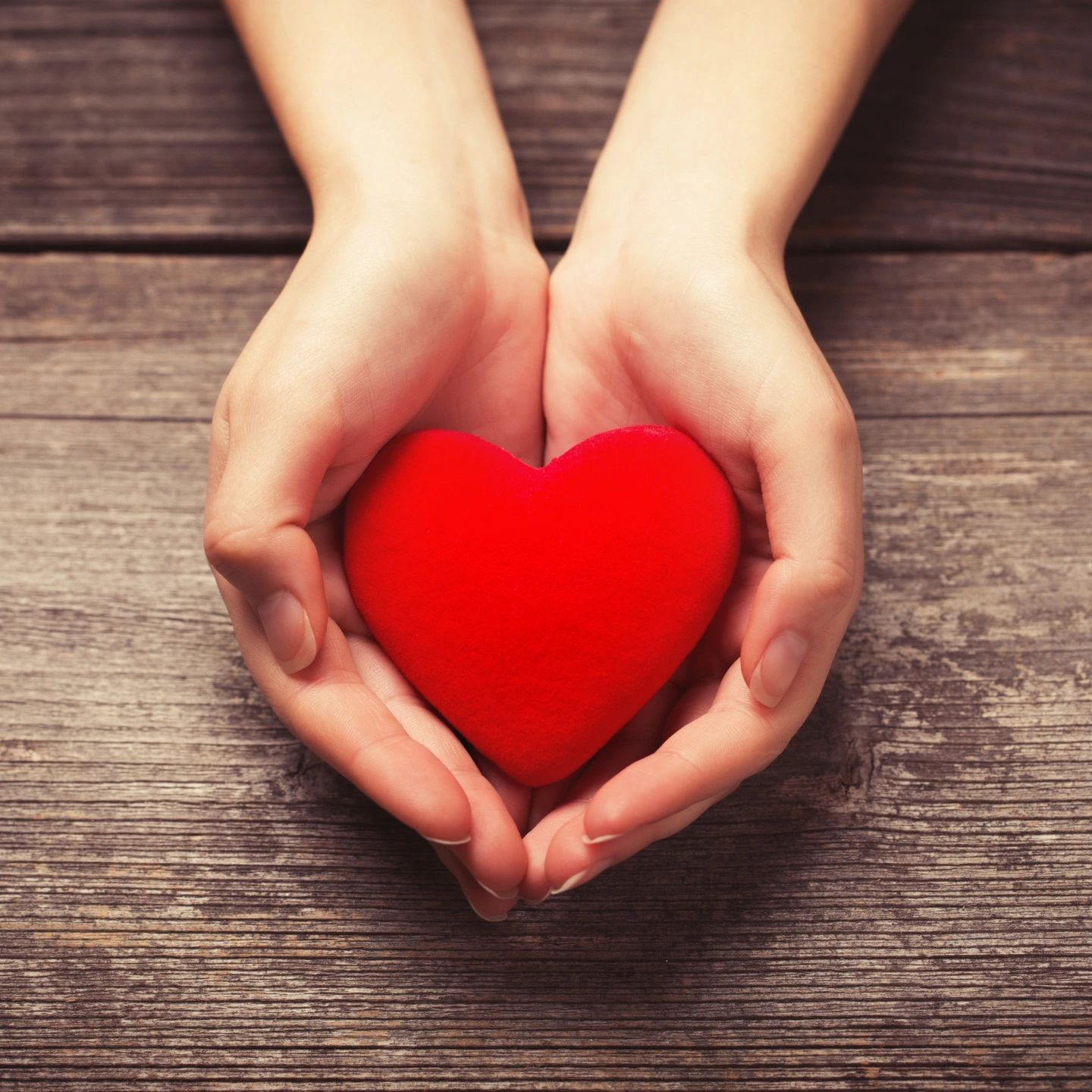 Folded hands holding a heart